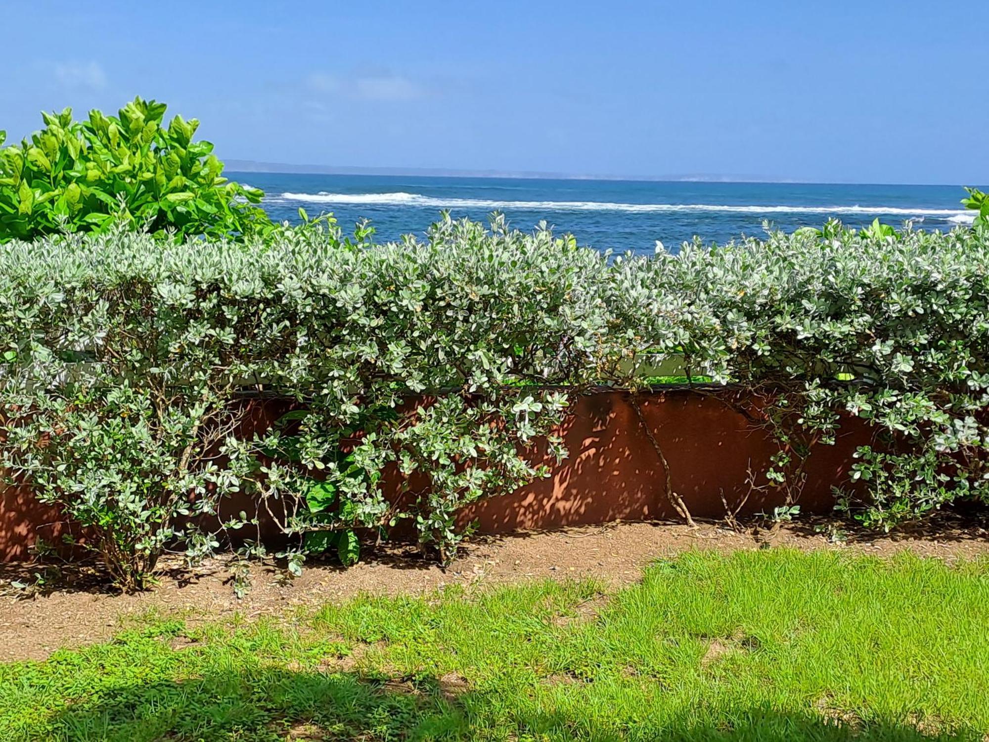Rdc Appartement En Bord De Mer Au Son Des Vagues Le Moule Bagian luar foto